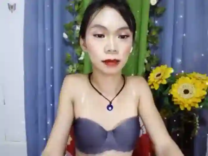 SKINNYasianSLUTs