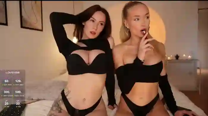 WhoreRobot