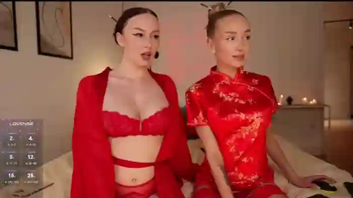 WhoreRobot