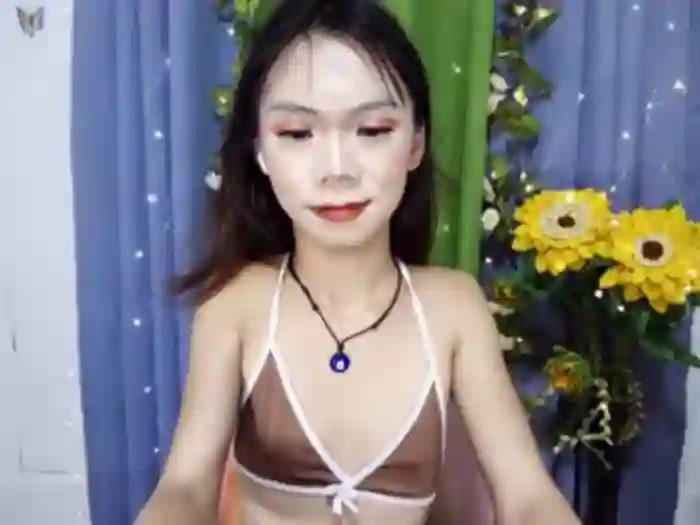 SKINNYasianSLUTs