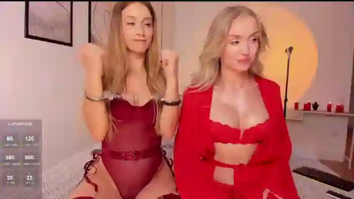 WhoreRobot
