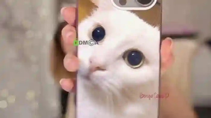 AnnaDaisy1