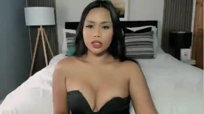HOTASIANTRANS