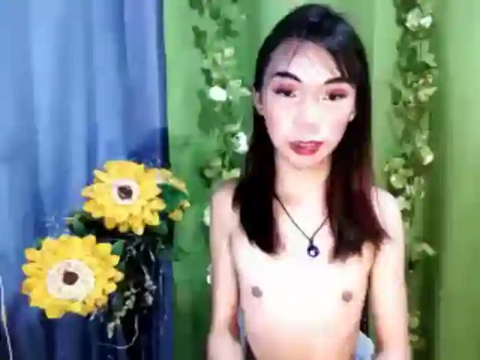 SKINNYasianSLUTs