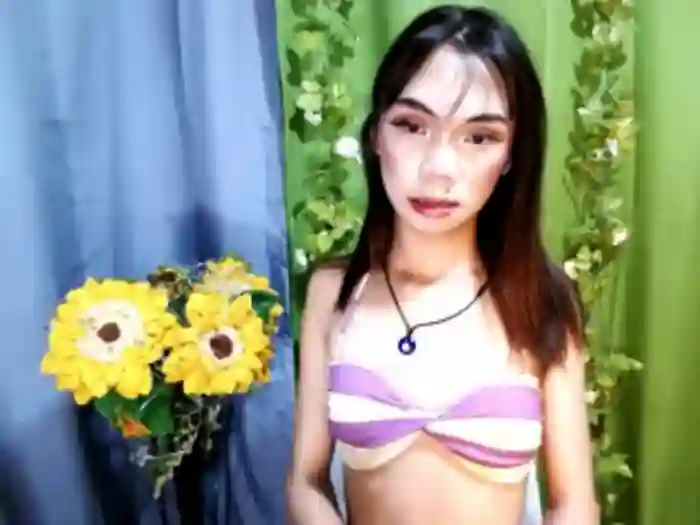 SKINNYasianSLUTs
