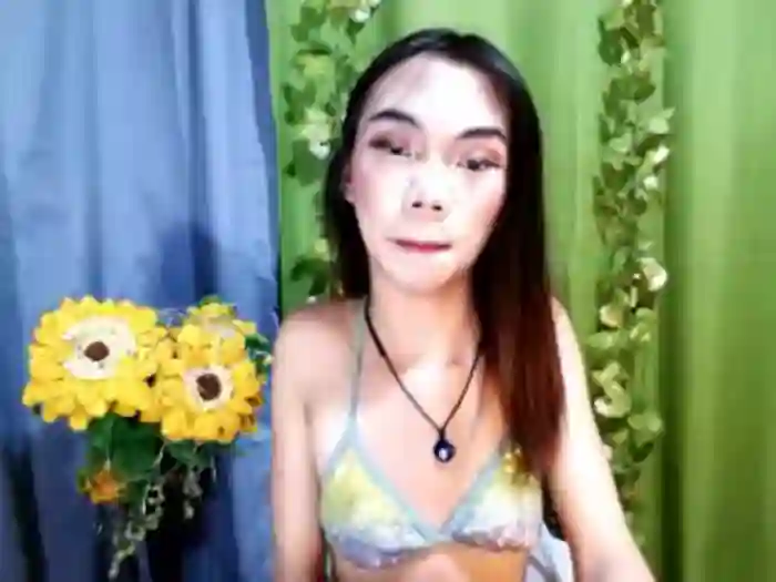 SKINNYasianSLUTs