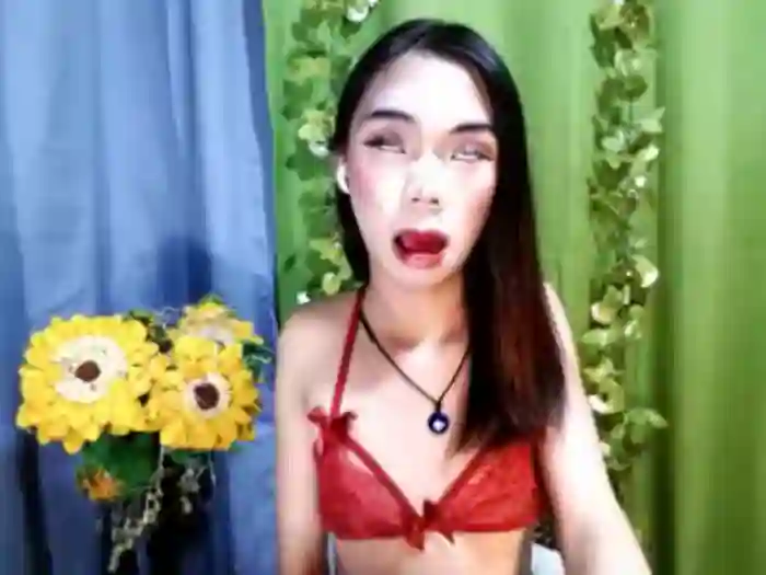 SKINNYasianSLUTs