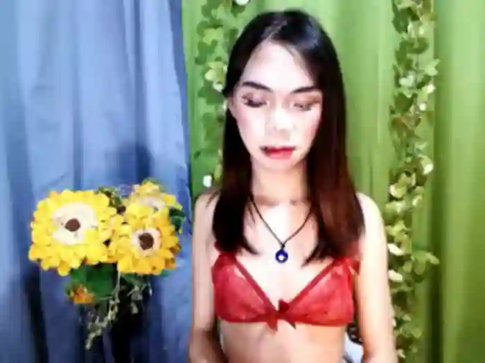 SKINNYasianSLUTs