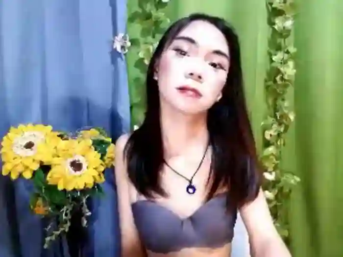 SKINNYasianSLUTs