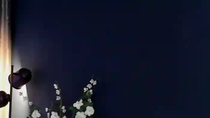 ShyCollegeBB