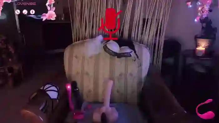 LISACAM2CAM