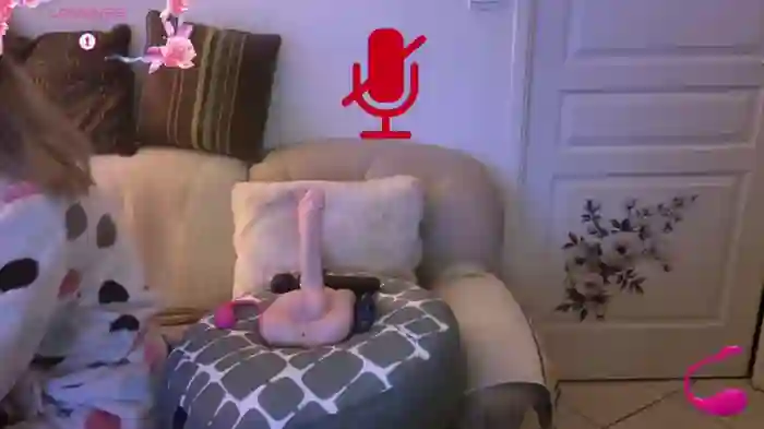 LISACAM2CAM