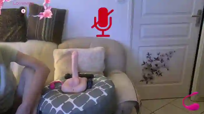 LISACAM2CAM
