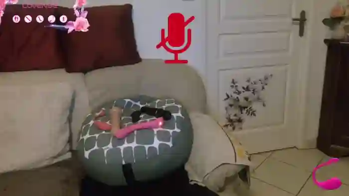 LISACAM2CAM