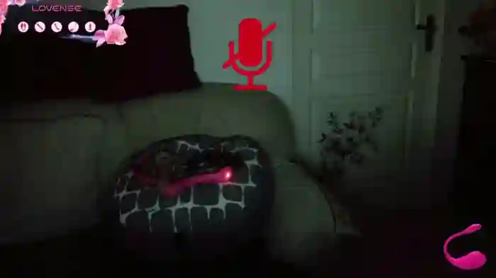LISACAM2CAM