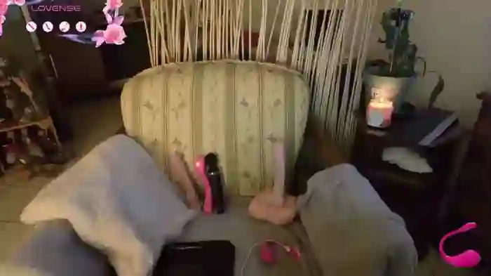 LISACAM2CAM