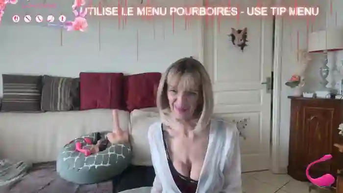 LISACAM2CAM