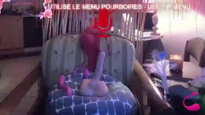 LISACAM2CAM