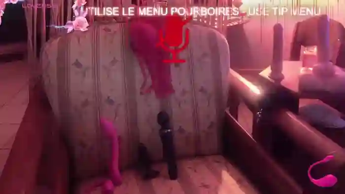LISACAM2CAM