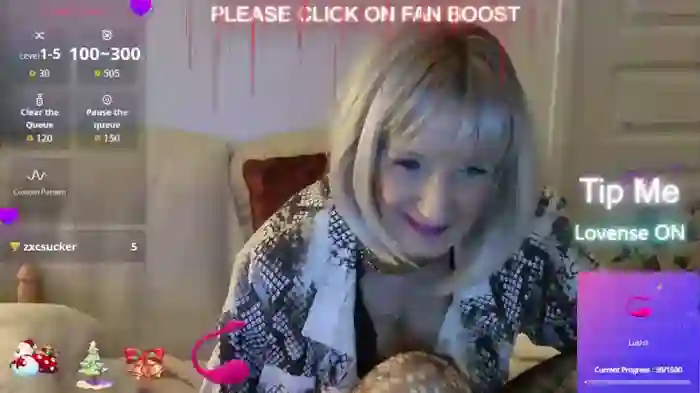 LISACAM2CAM