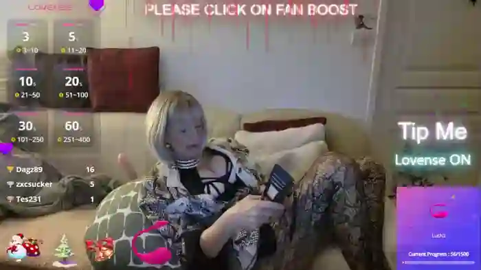 LISACAM2CAM