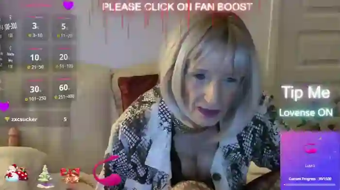 LISACAM2CAM