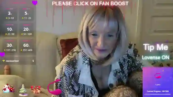 LISACAM2CAM