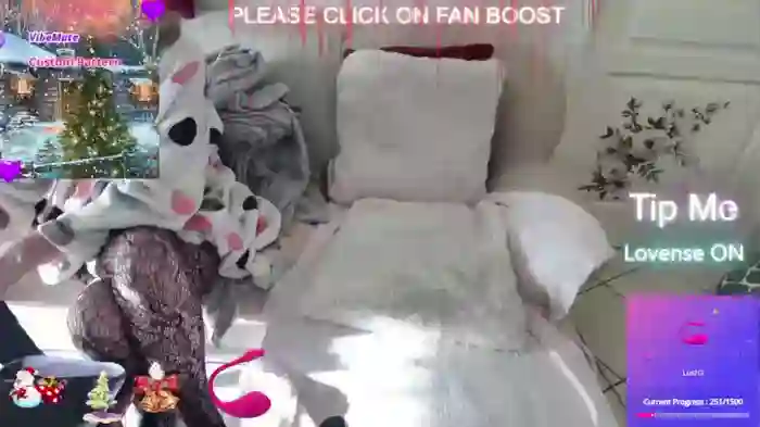 LISACAM2CAM