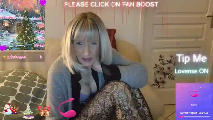 LISACAM2CAM
