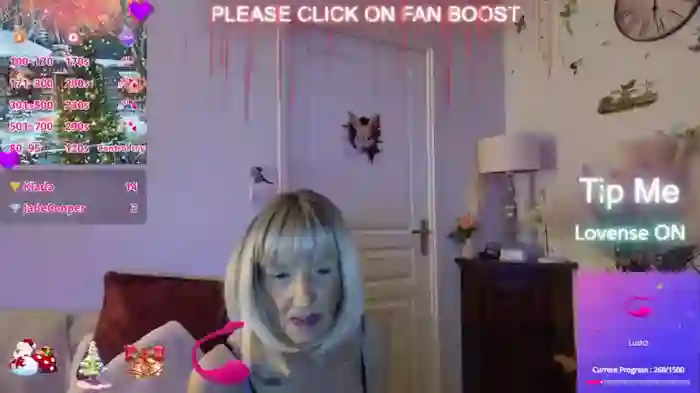 LISACAM2CAM
