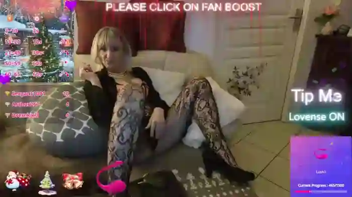 LISACAM2CAM