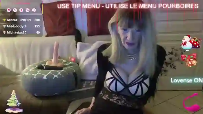LISACAM2CAM