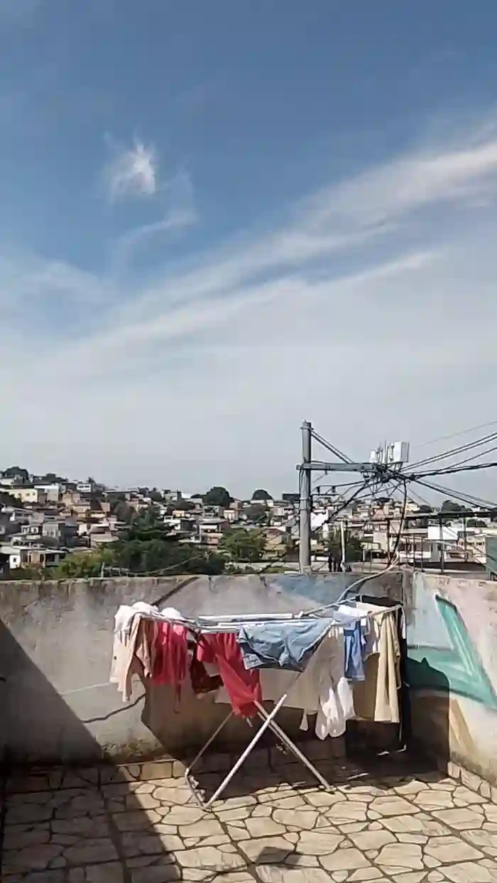 Meneguete