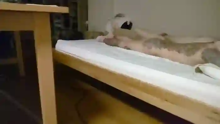 kazu_eternal39y