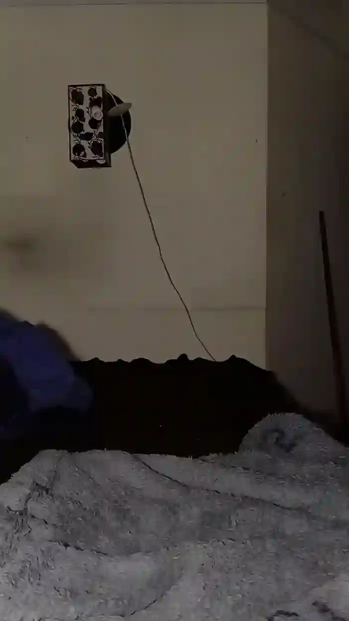 Chanell_19