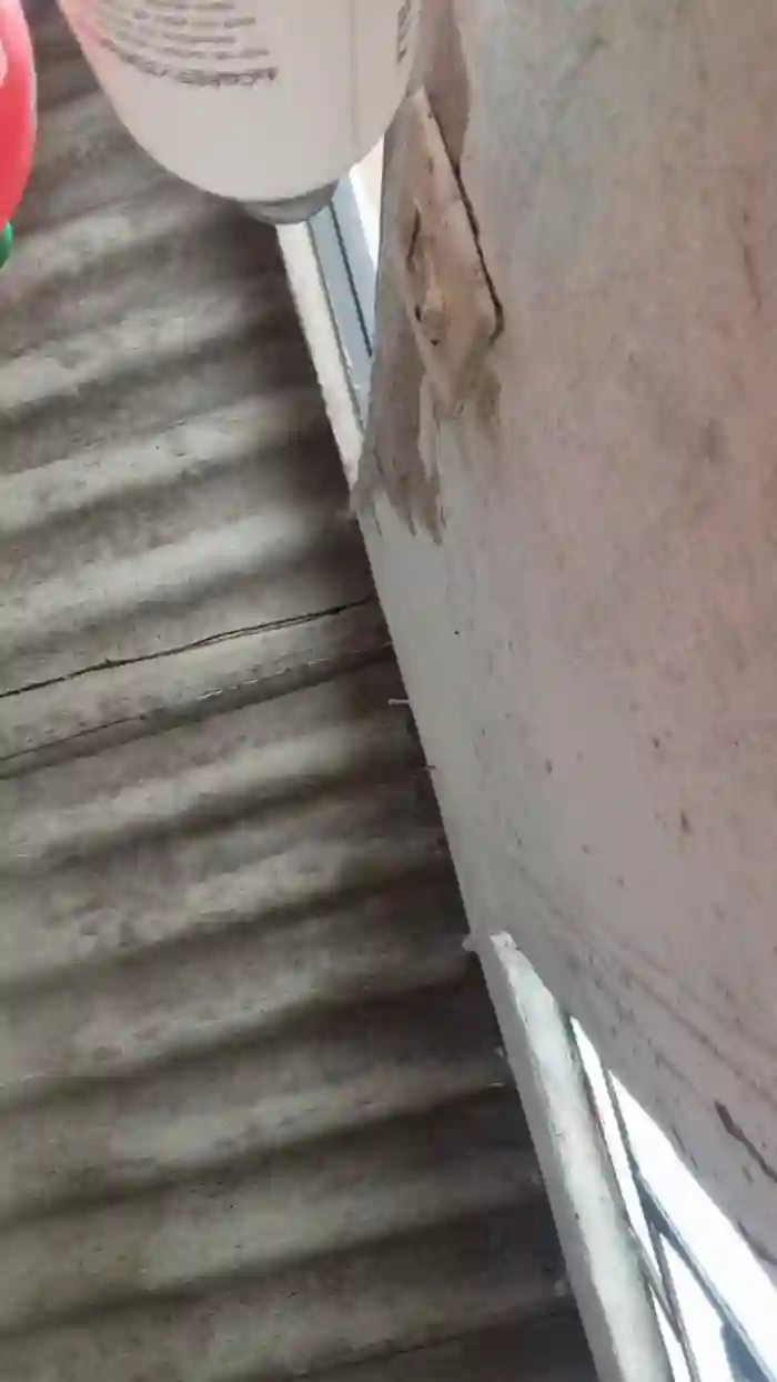 _Natysapeka