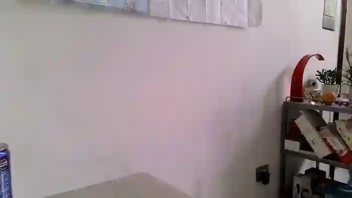 ElenaRey
