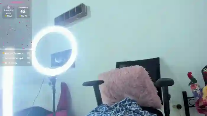 Sari__