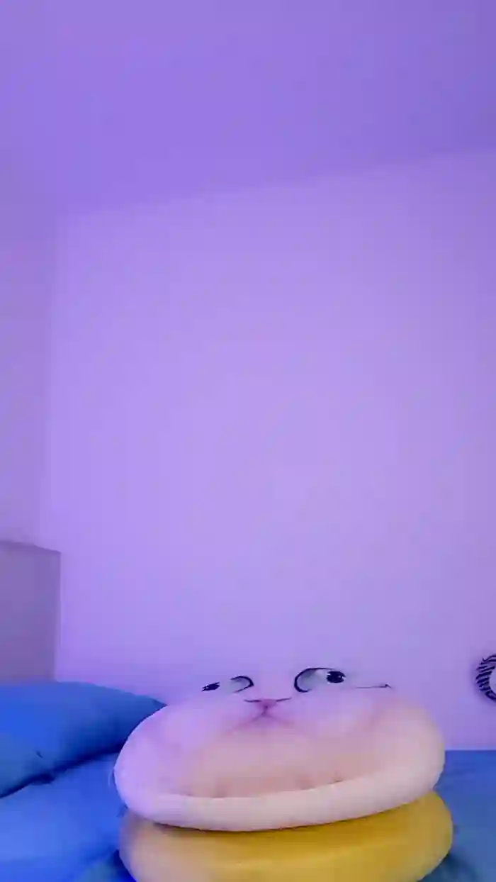 MonyCat_