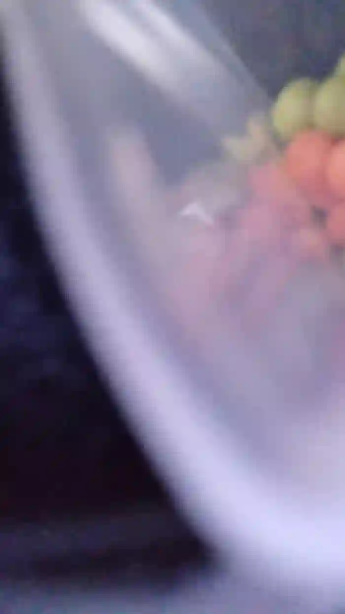 Marina86_