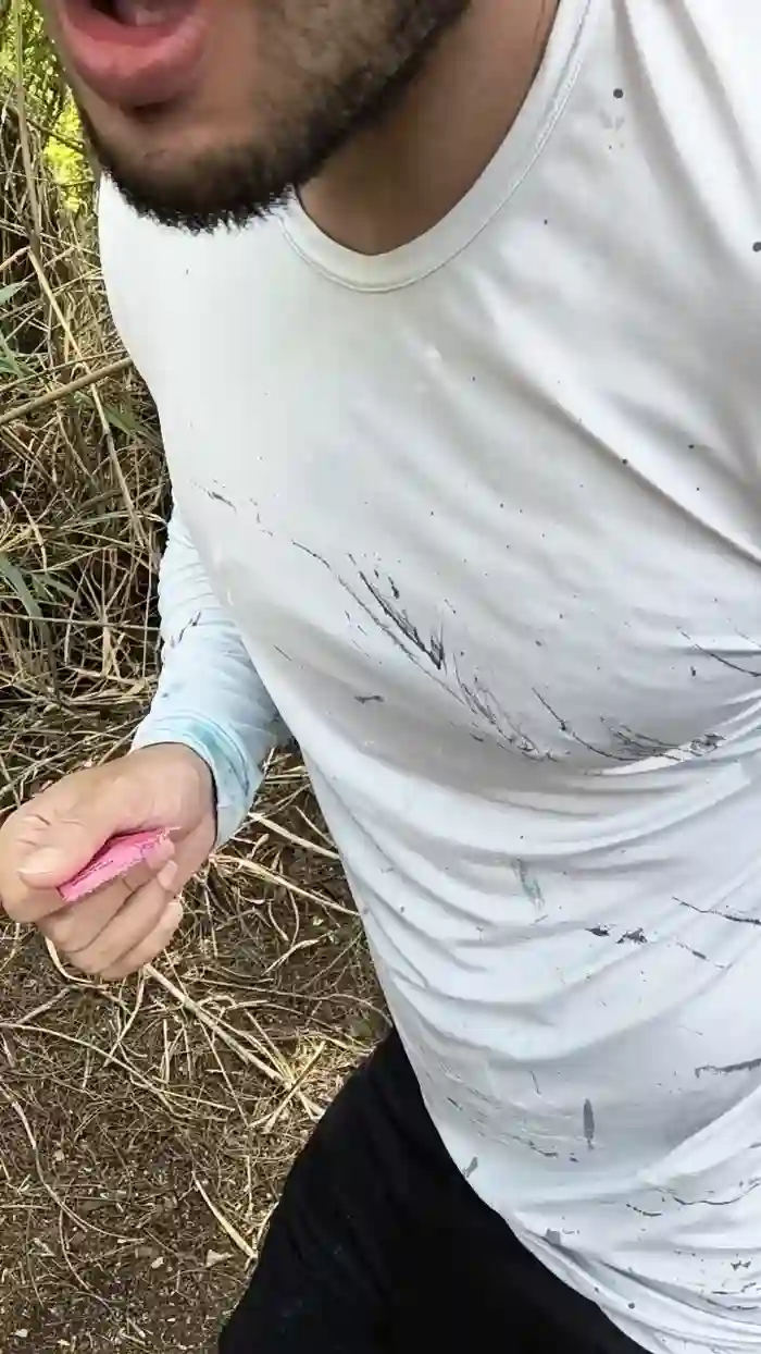 _ALLADYN_