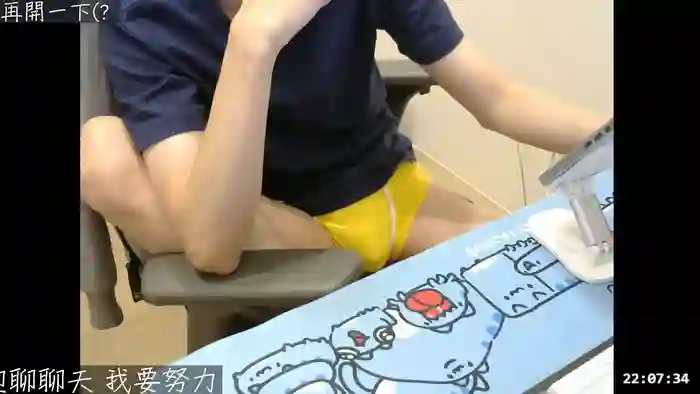 willy51411