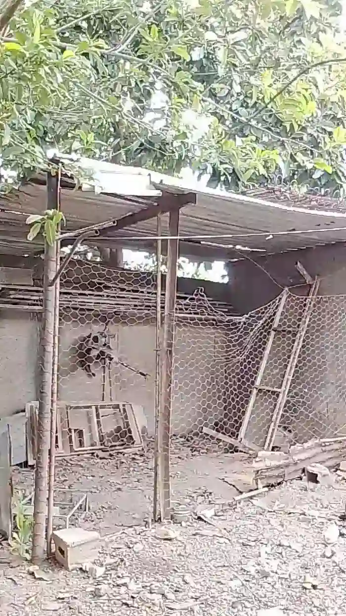 interhogar