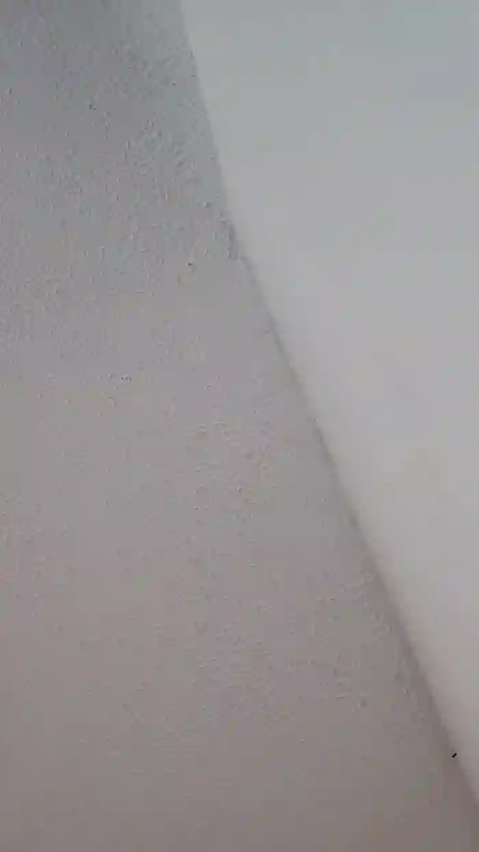 sweet_scarlett_