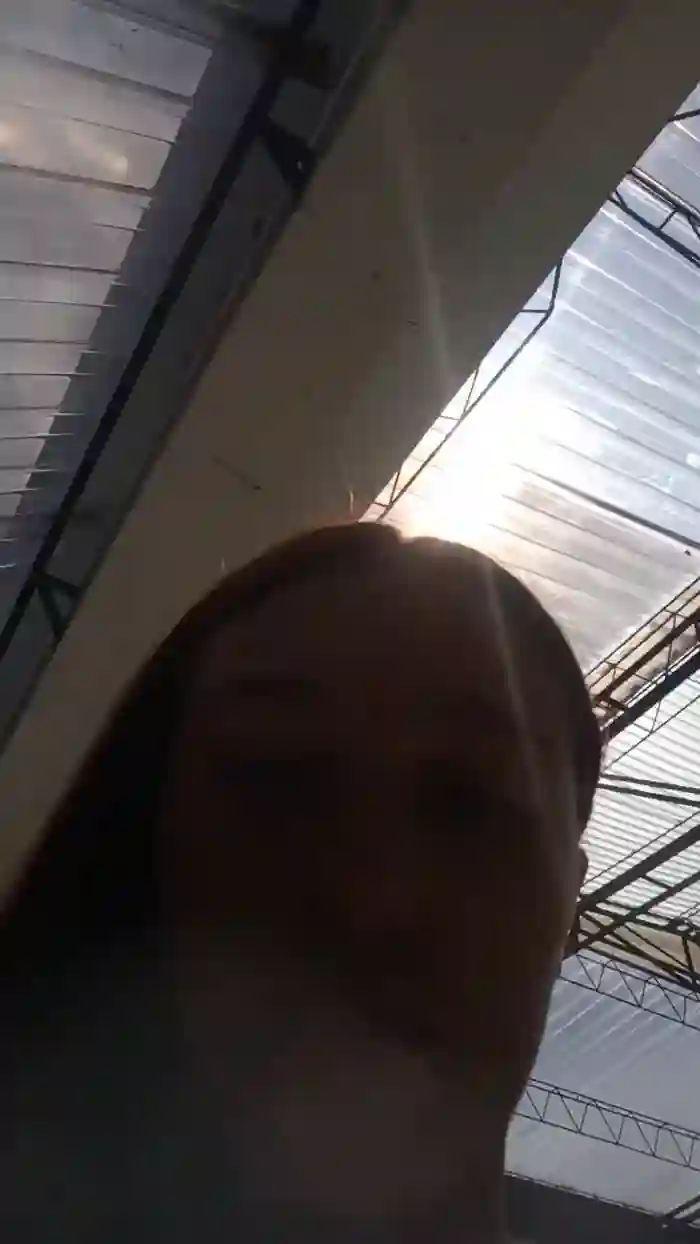 Isabelle_x