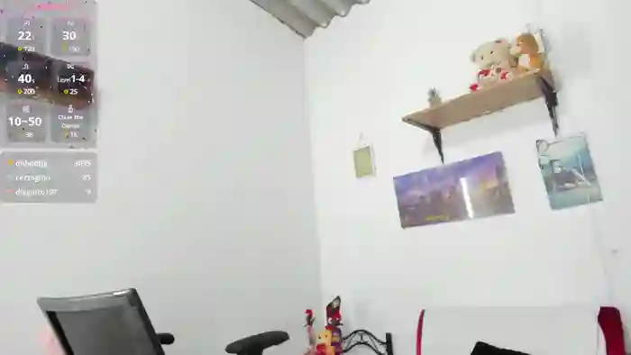 Sari__