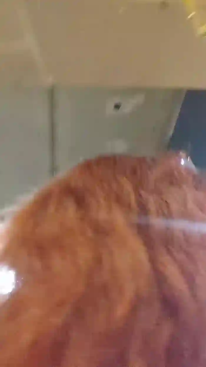 AlejandritaMilf