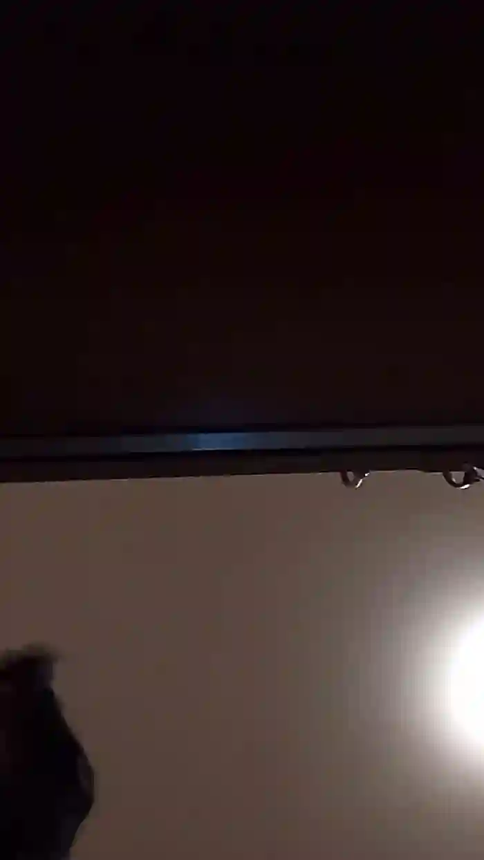vogliadi6