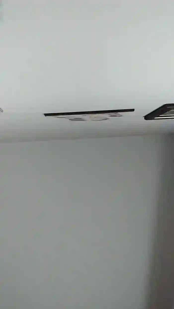 vogliadi6