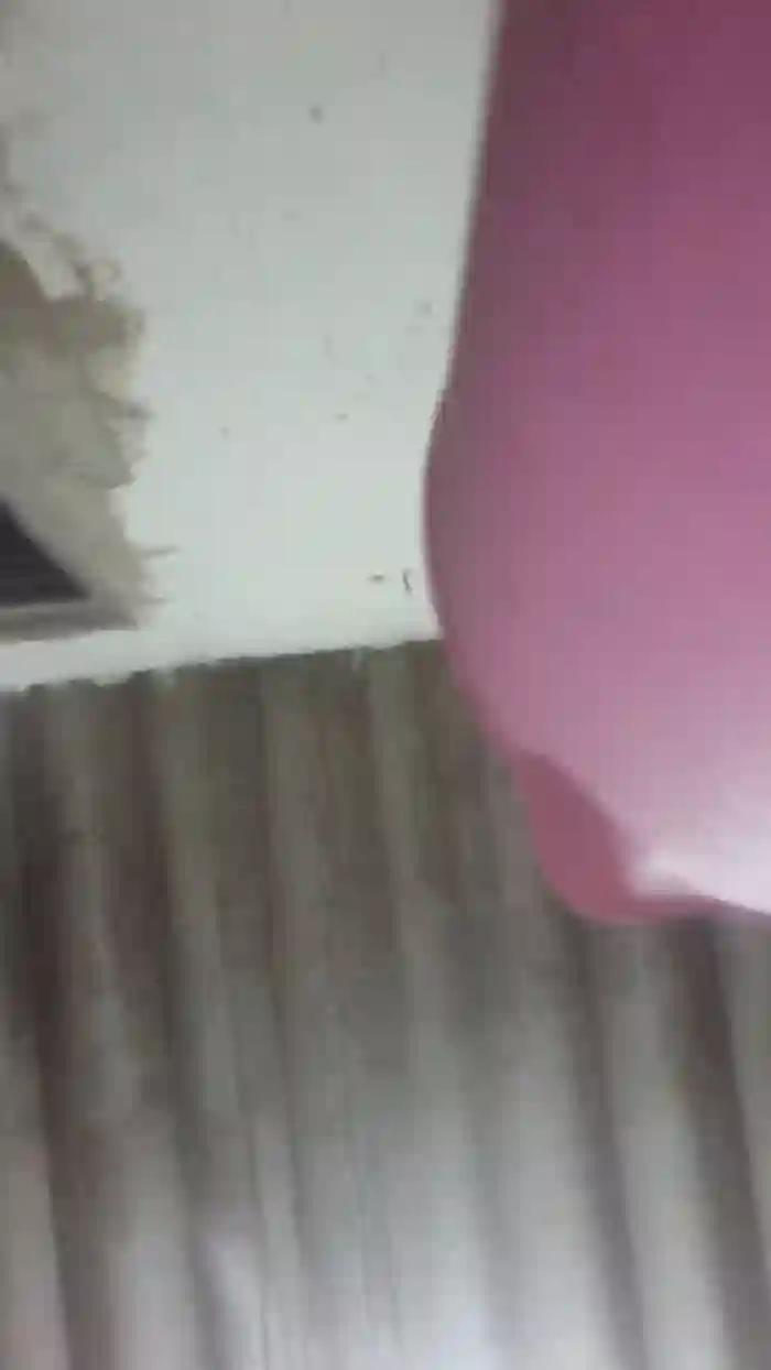 _Natysapeka